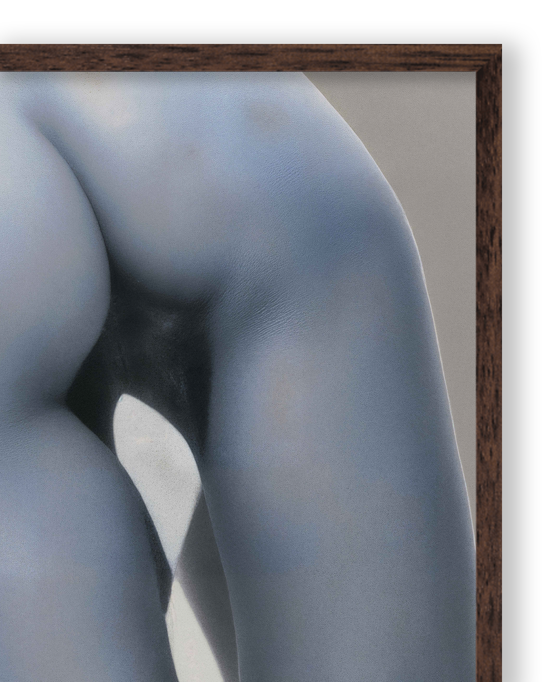 Body IV