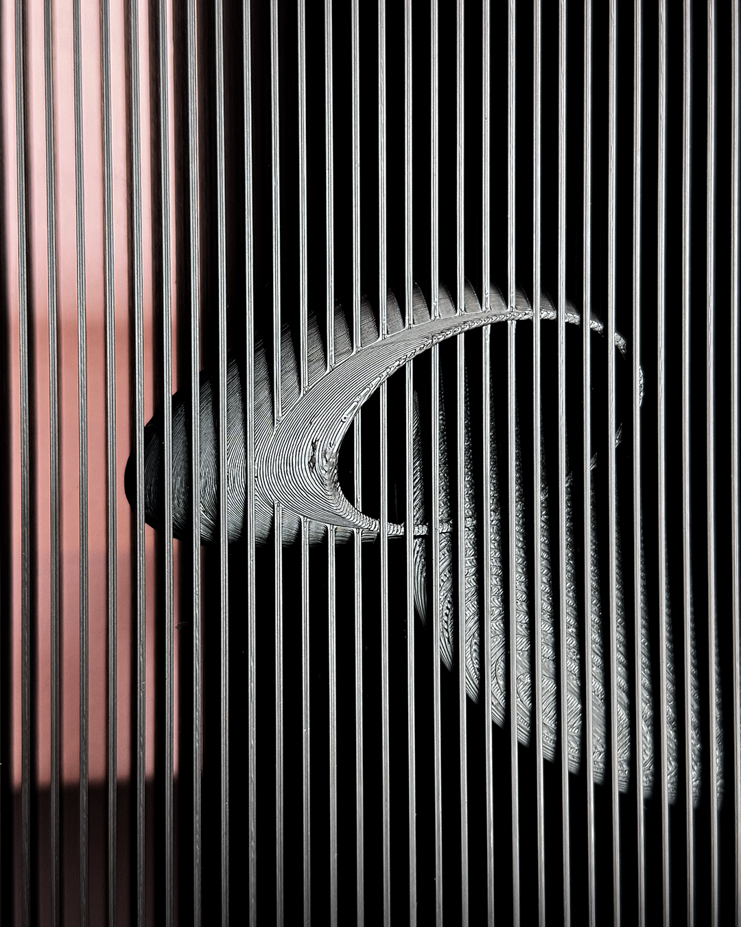 Dimensions, Black