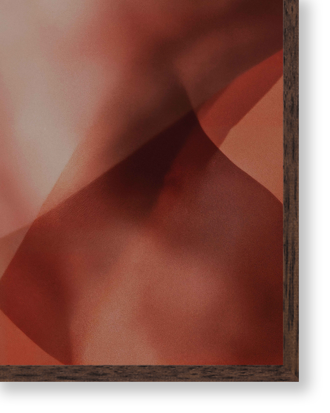 Body II