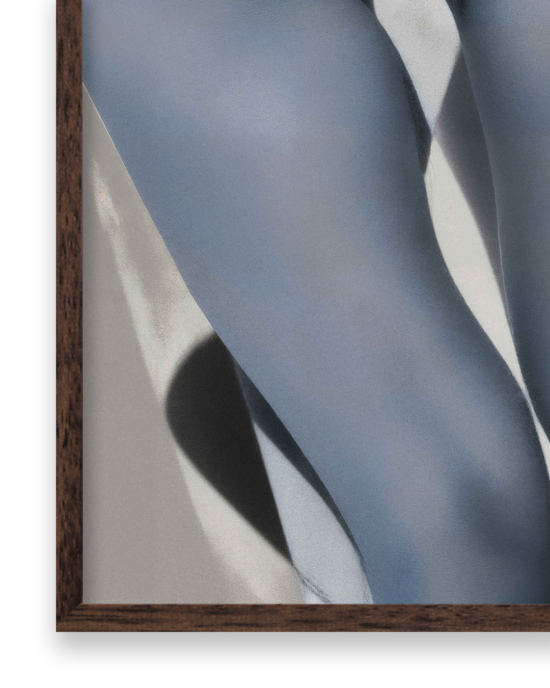 Body IV