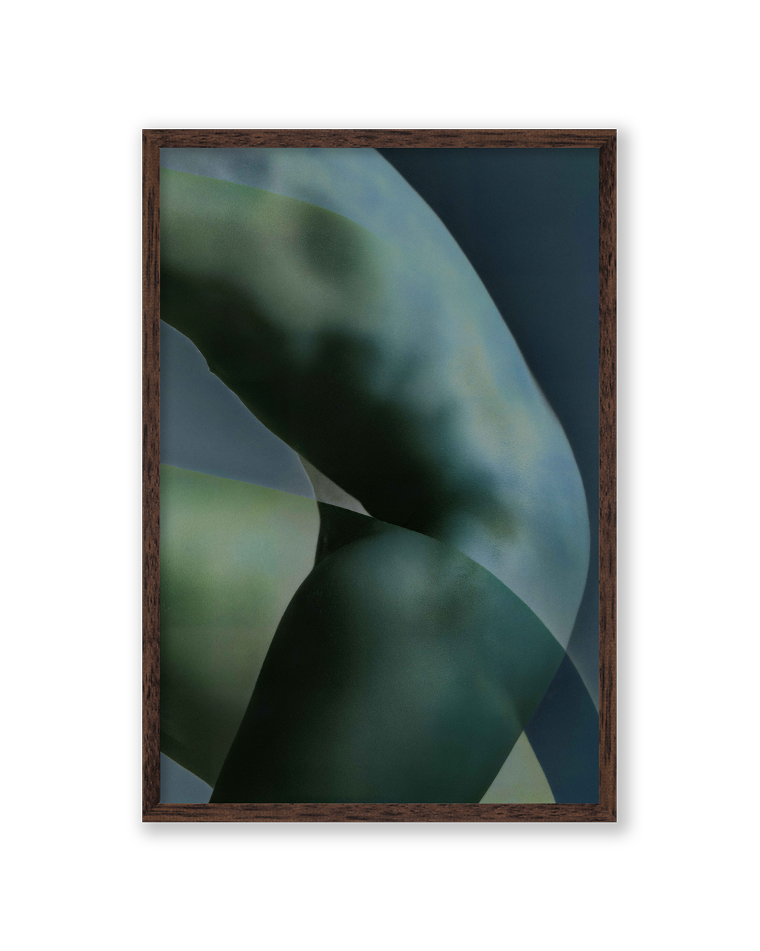 Body VI