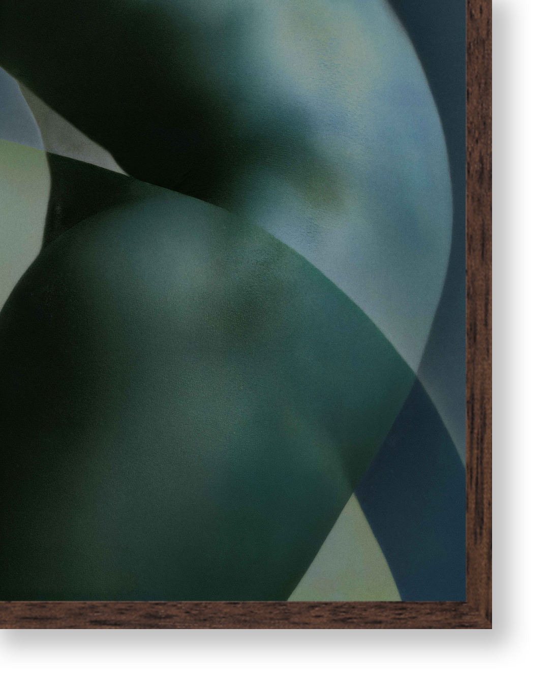 Body VI