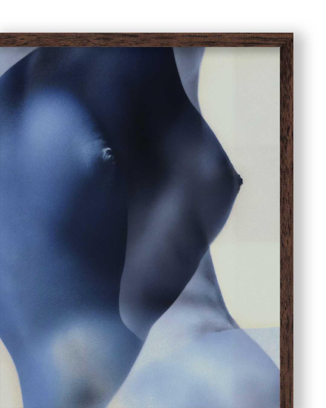Body VII