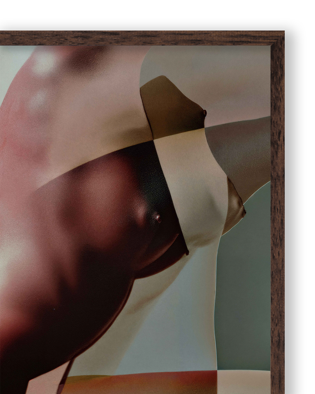Body XI