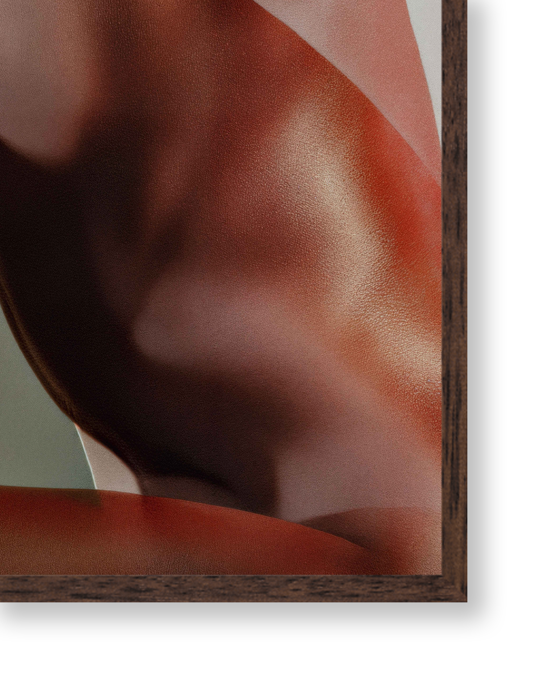 Body XIII