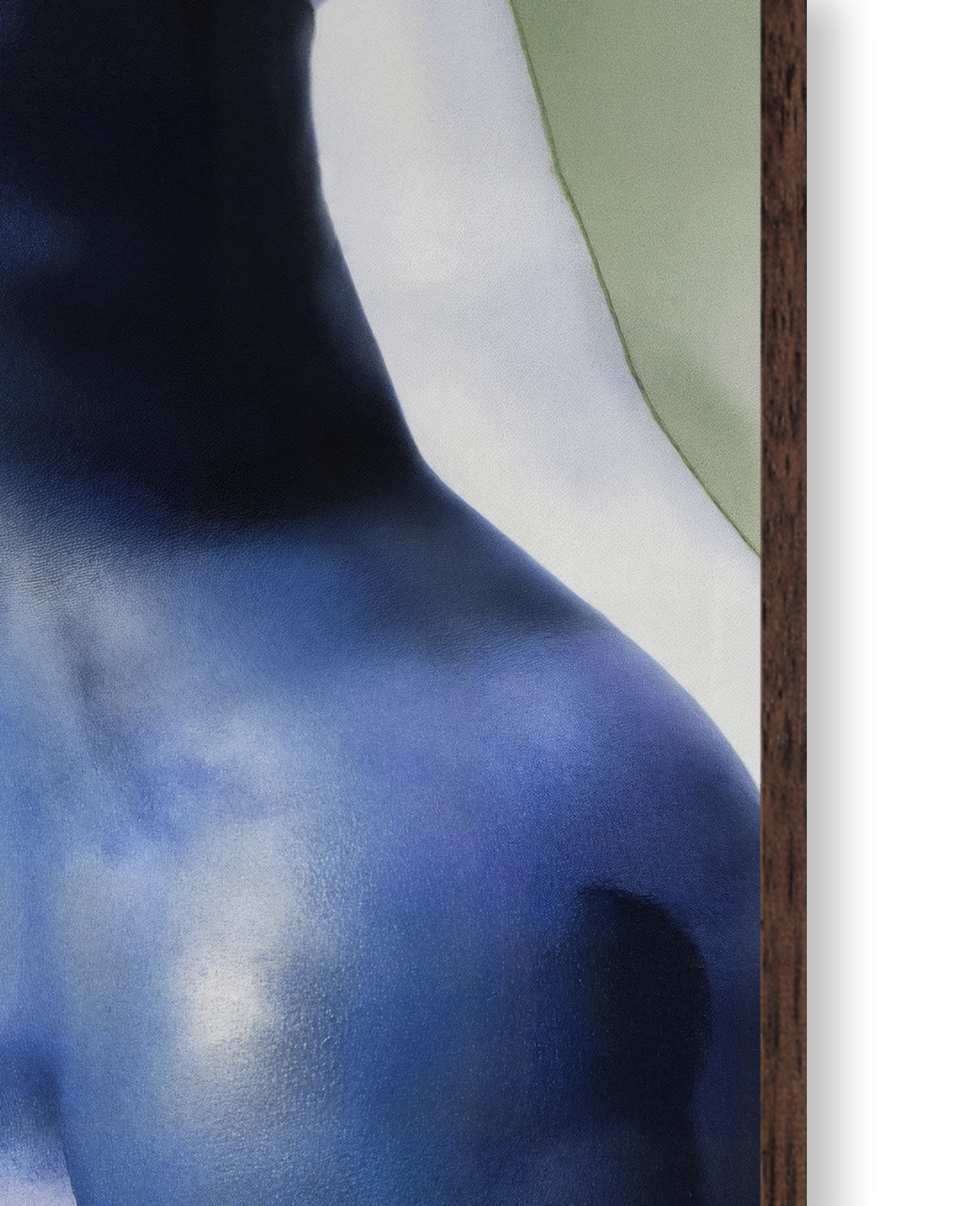 Body XVI